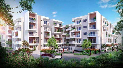 Pearl Paradise Layout