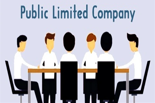 Public Limited Company