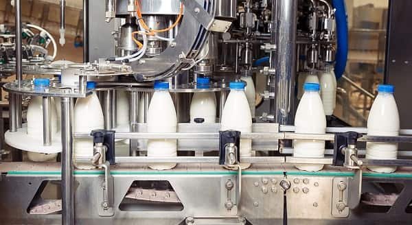 Dairy Farming and Milk Processing Unit
